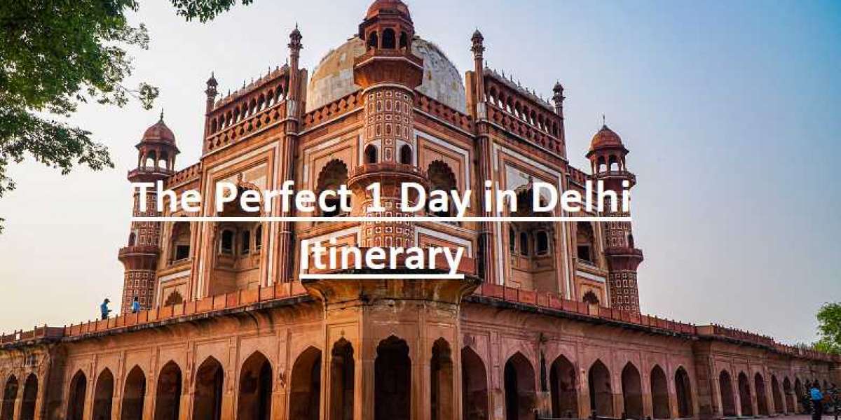 The Perfect 1 Day in Delhi Itinerary