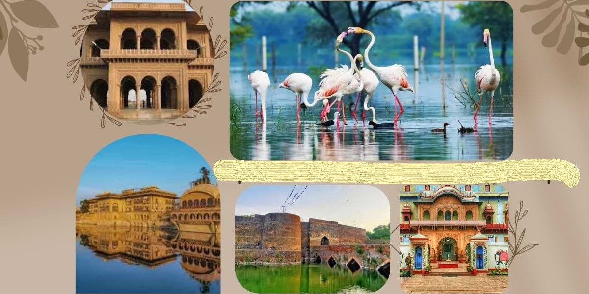 Jaipur Tour Packages from Chandigarh