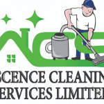 Pressure and Power Washing Service in Kelowna Profile Picture