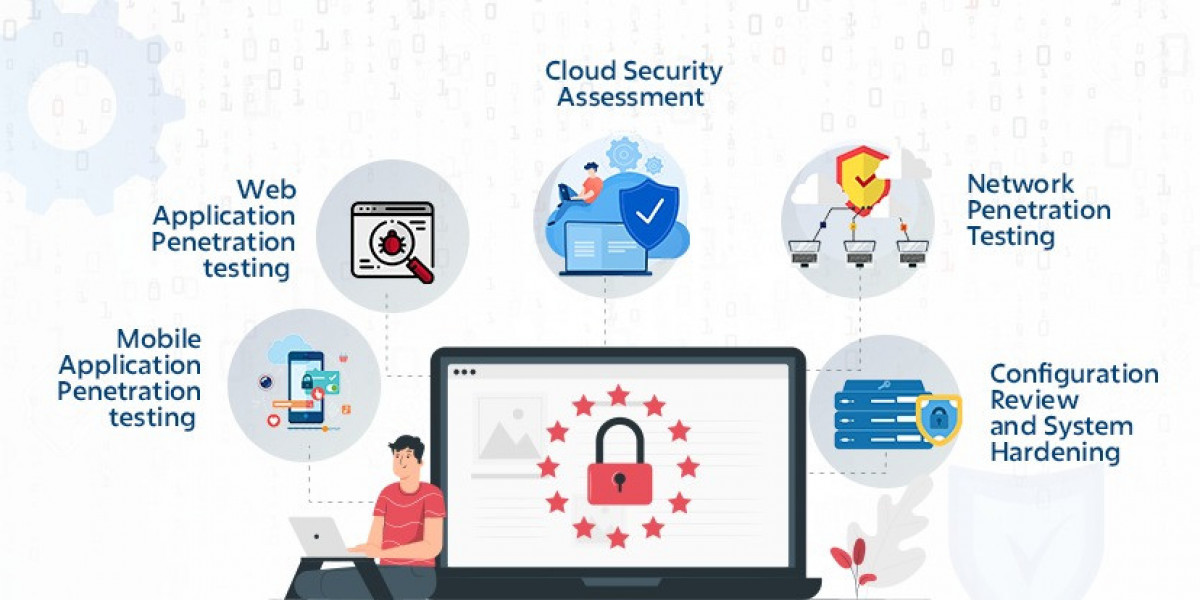IT Security Assessment and Consulting Services
