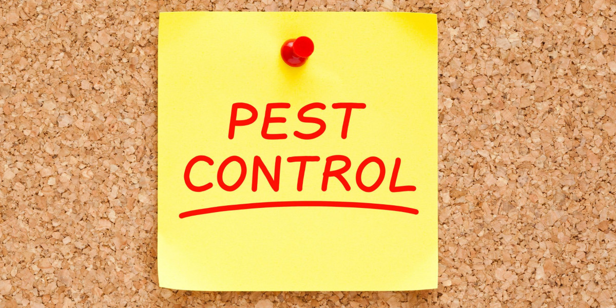 Pest Control London: The Ultimate Guide to Banishing Pests!