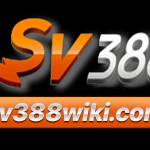 SV388 web Profile Picture