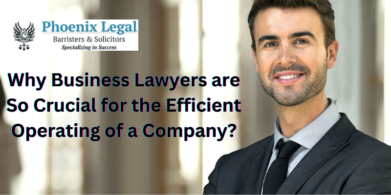 Phoenix Legal: Why Business Lawyers are So Crucial for the Efficient Operating of a Company?