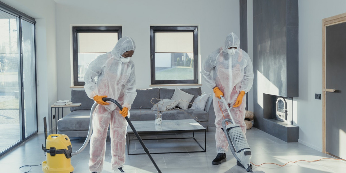 Safeguarding Health: Professional Carpet Cleaning Defensive Function