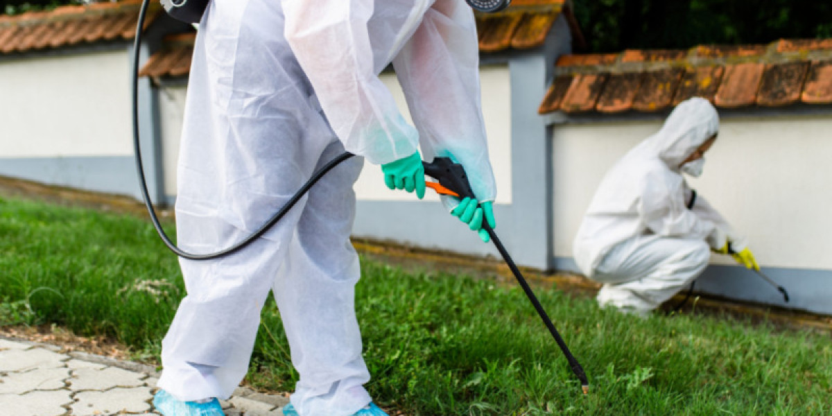 Effective Pest Control Solutions in Willis and The Woodlands