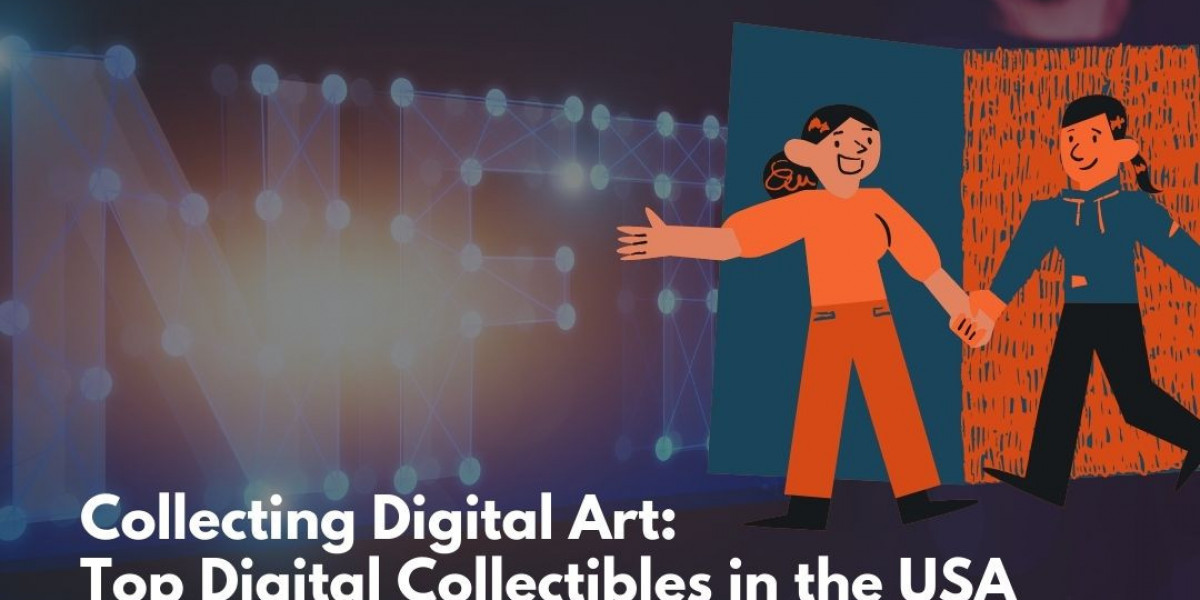  Collecting Digital Art: Top Digital Collectibles in the USA