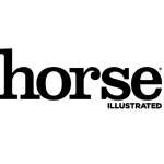 Horse Illustrated Profile Picture