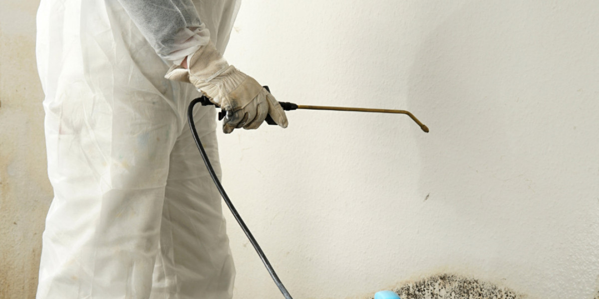 Refresh and Renew: Rainbow Mold Removal Services Illuminate Your Home