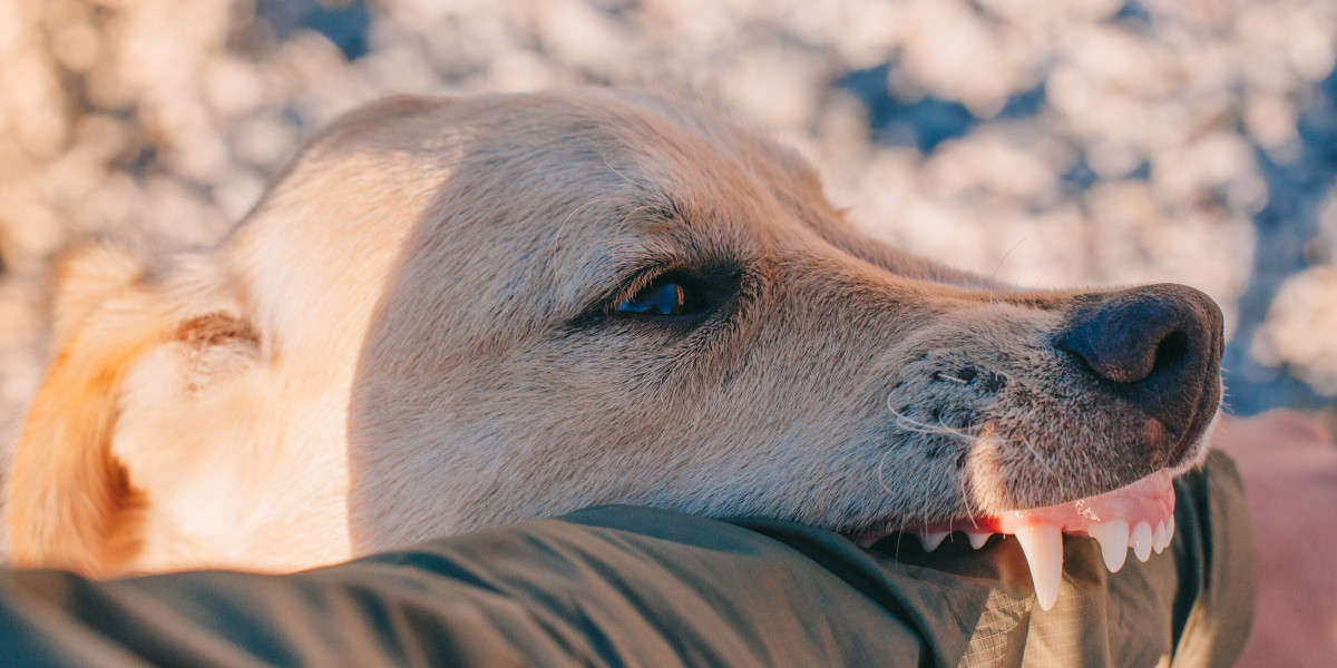 Attorney Strategies for Achieving Optimal Outcomes in Dog Bite Cases