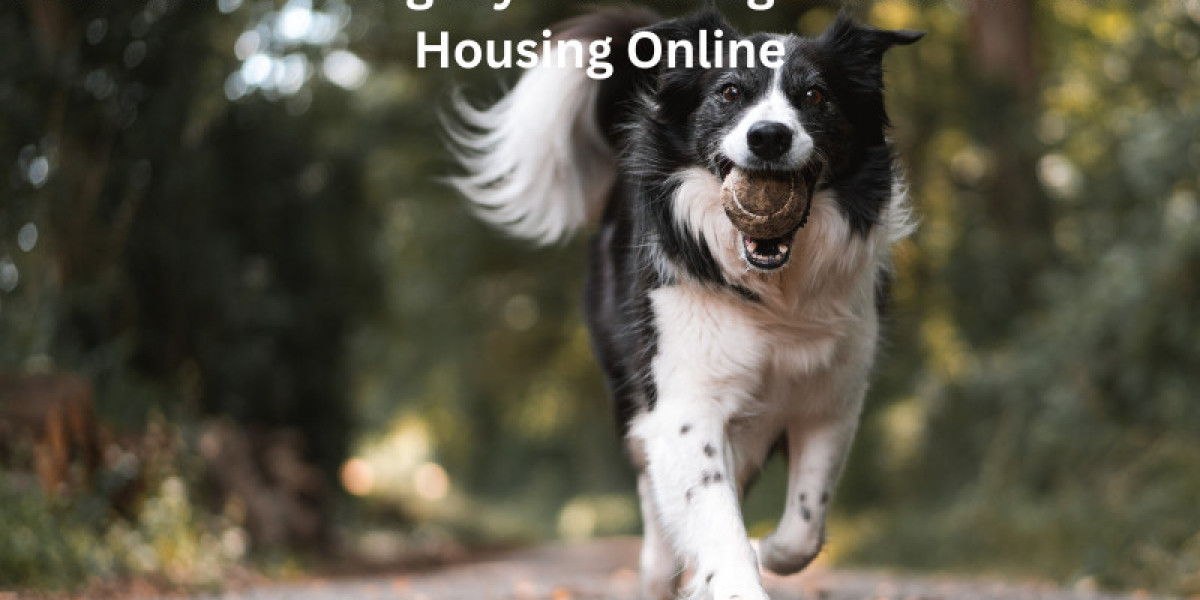Your Guide to Legally Obtaining an ESA Letter for Housing Online