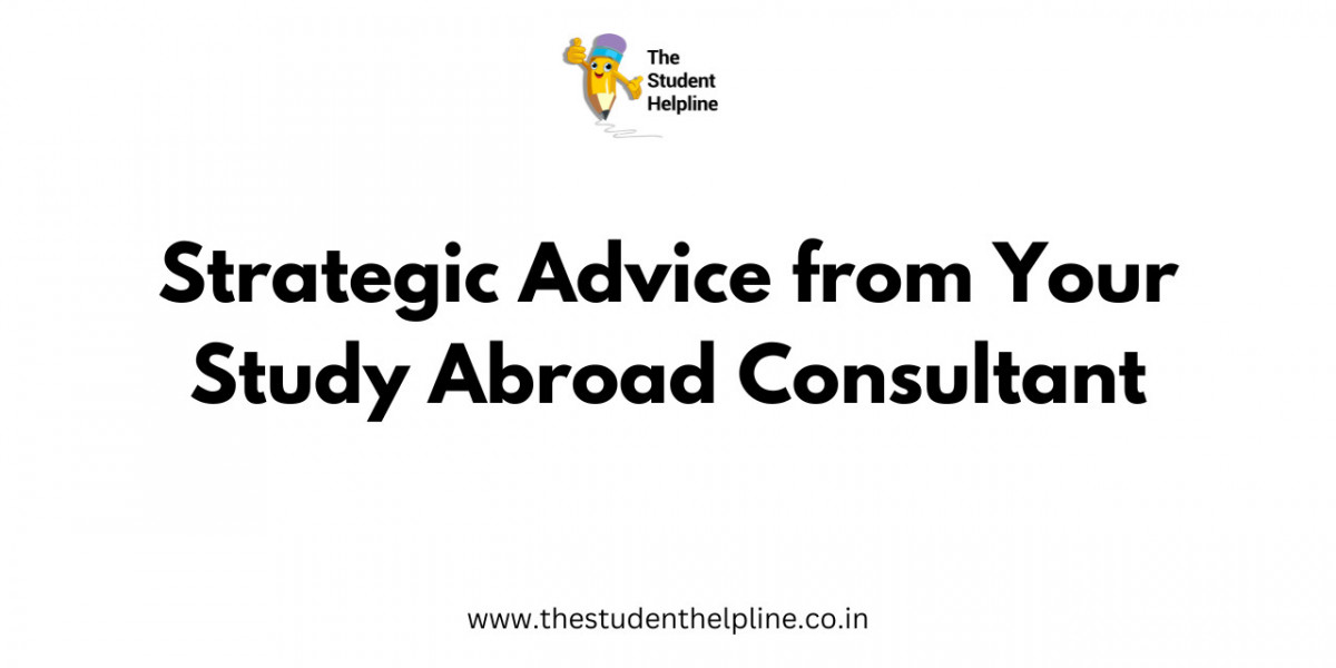 Strategic Advice from Your Study Abroad Consultant