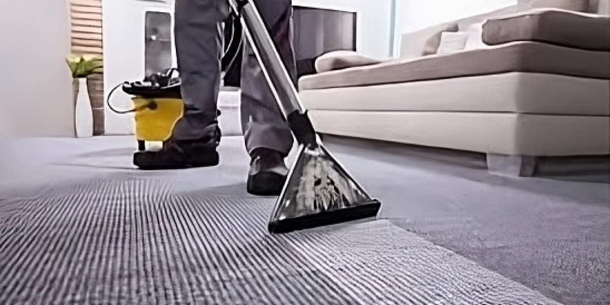 Immaculate Interiors: Premier Carpet Cleaning Solutions