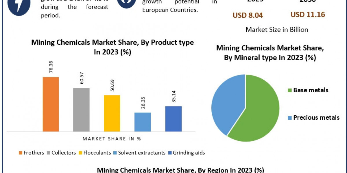 Mining Chemicals Market  Competitive Landscape & Strategy Framework To 2029