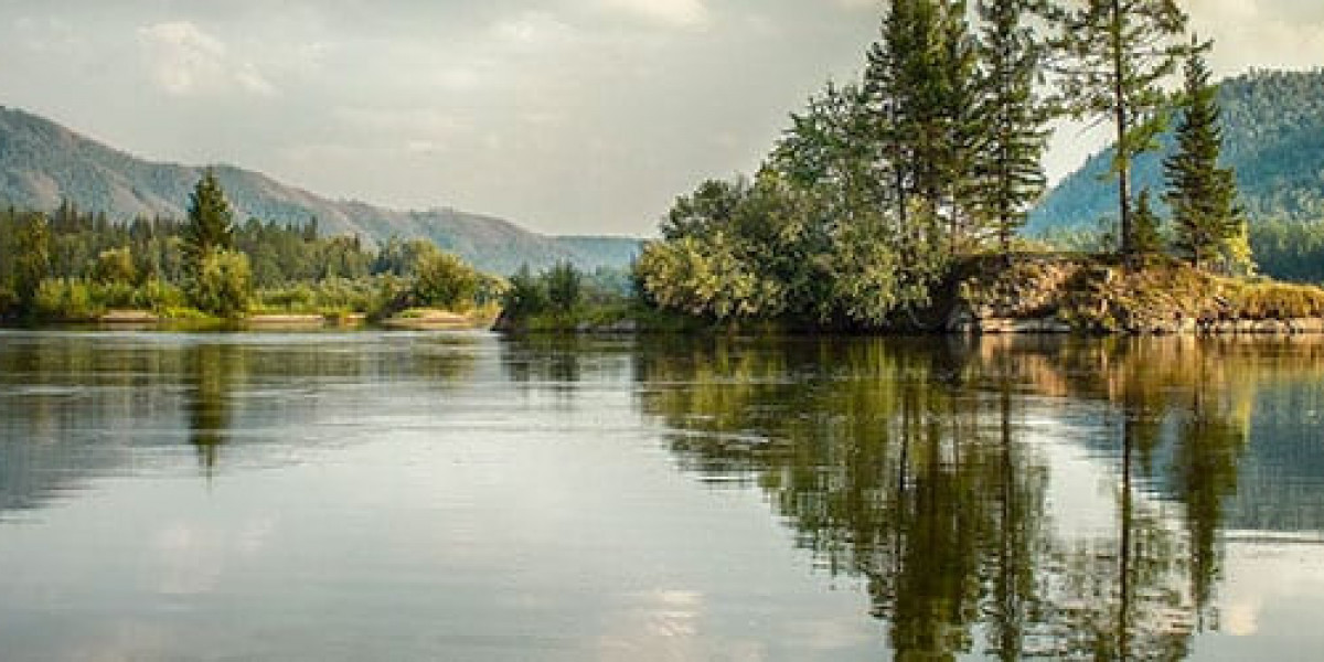 How Can I Get Rid of Pesky Pond Weeds and Keep My Waterway Healthy?