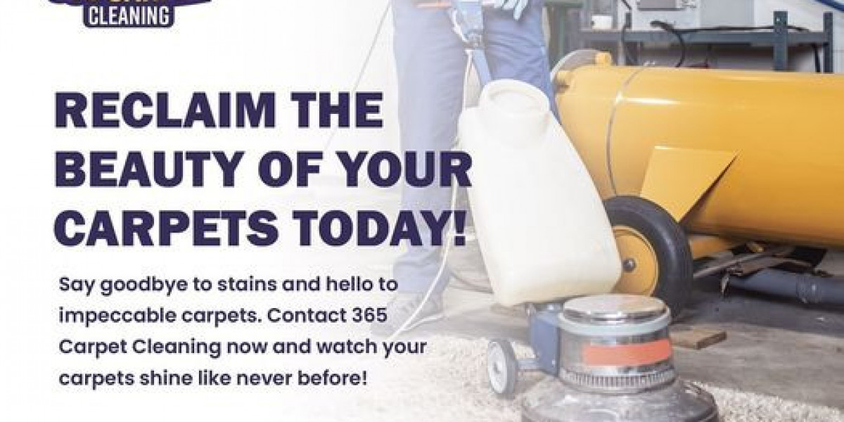 Cleaning Services in Sydney: Discover 365 Carpet Cleaning's Exceptional Offerings