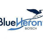 Blueheron bio Profile Picture