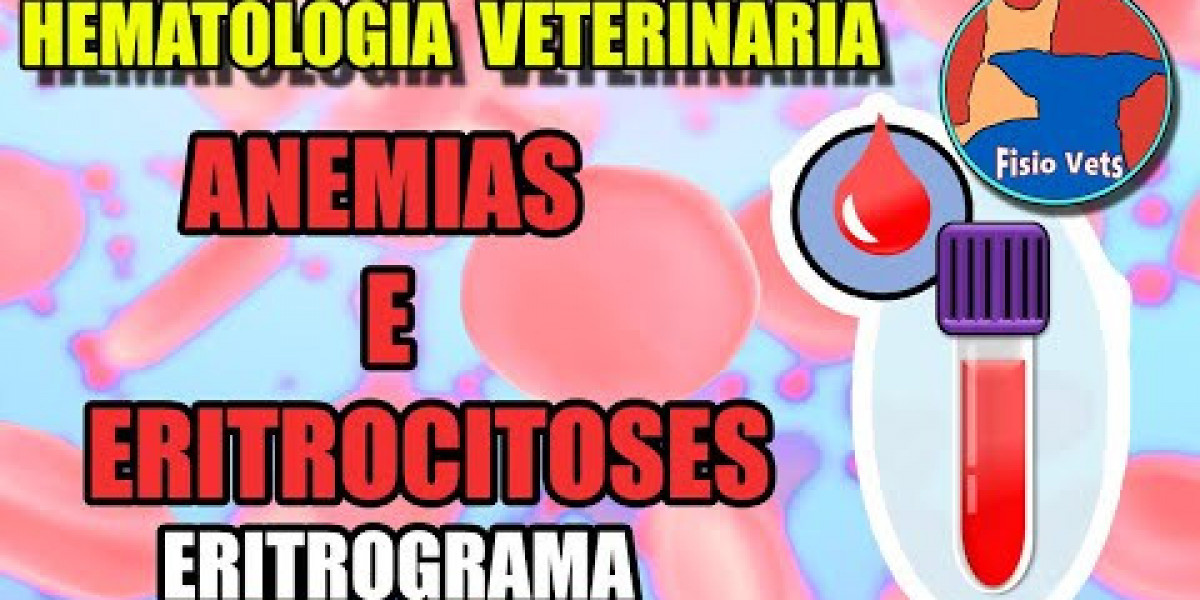 Enfermedades renales en perros y gatos: Lo que debes saber