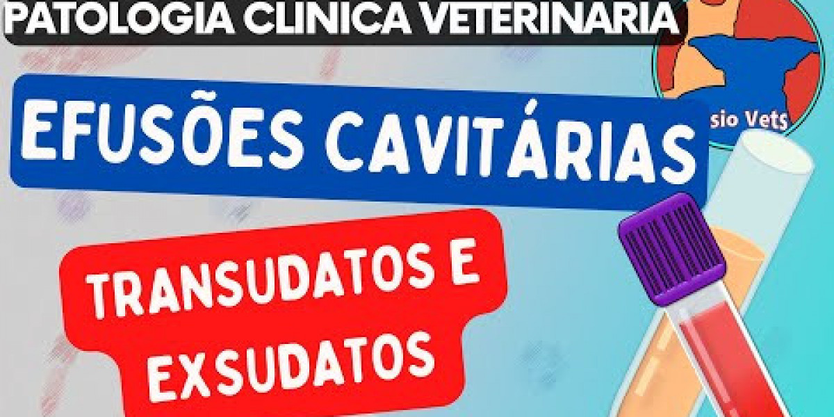 Cuánto gana un veterinario en España: análisis salarios 2024