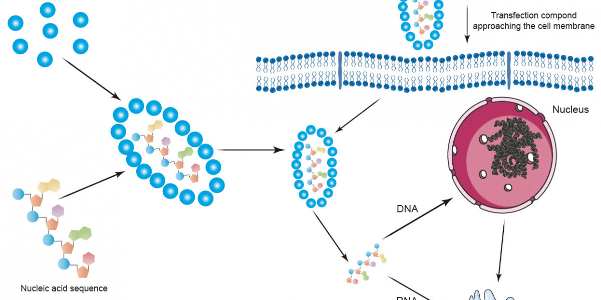 Digestive System Tissue Microarrays for Improved Disease Research