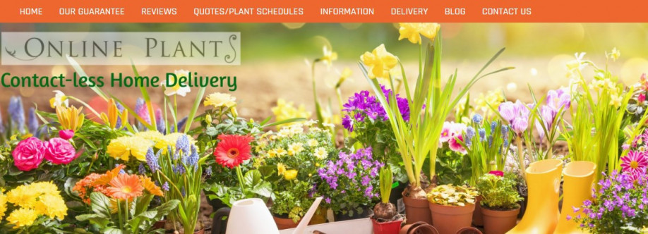 plants online Cover Image