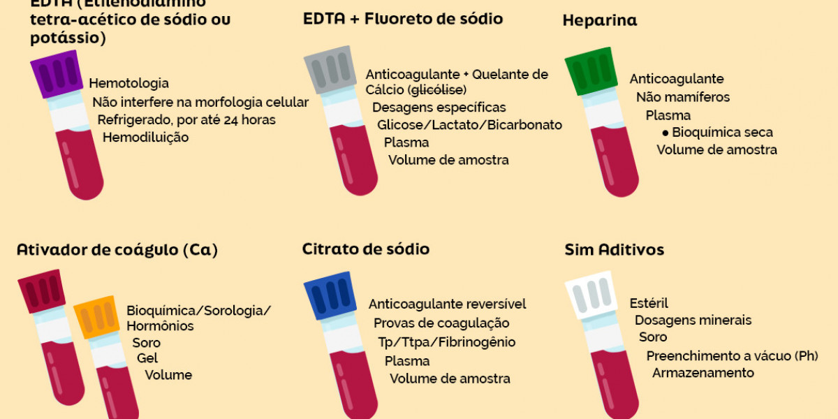 Os 10 Países com os Melhores Salários para Veterinários: Onde Vale a Pena Trabalhar?