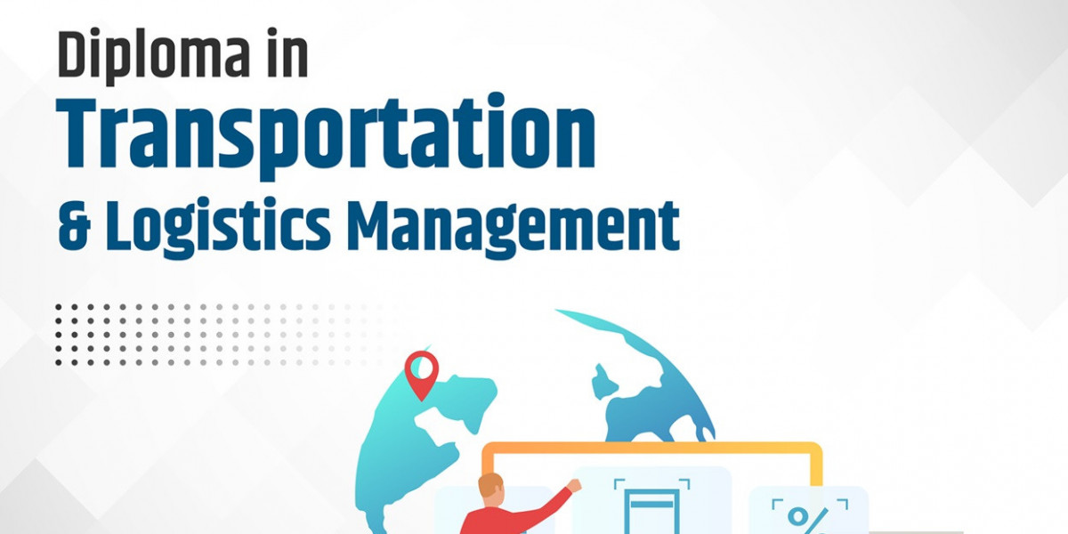 Transportation and Logistics Management: The Backbone of Global Commerce