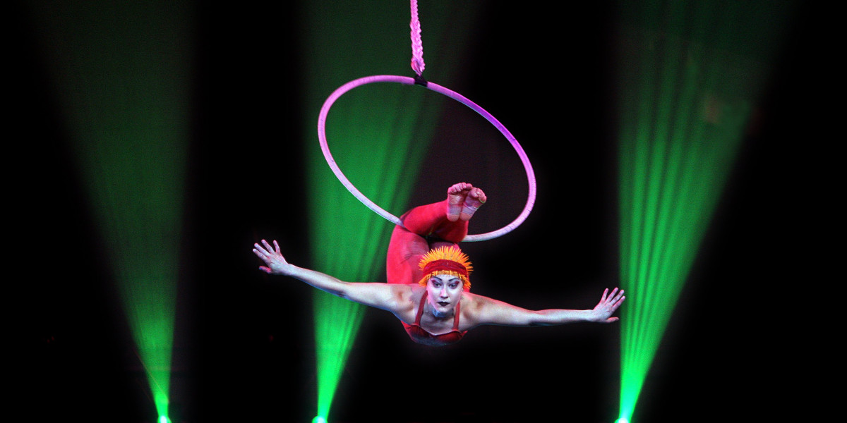 The Magic of Circus Entertainers: A Glimpse into a World of Wonder