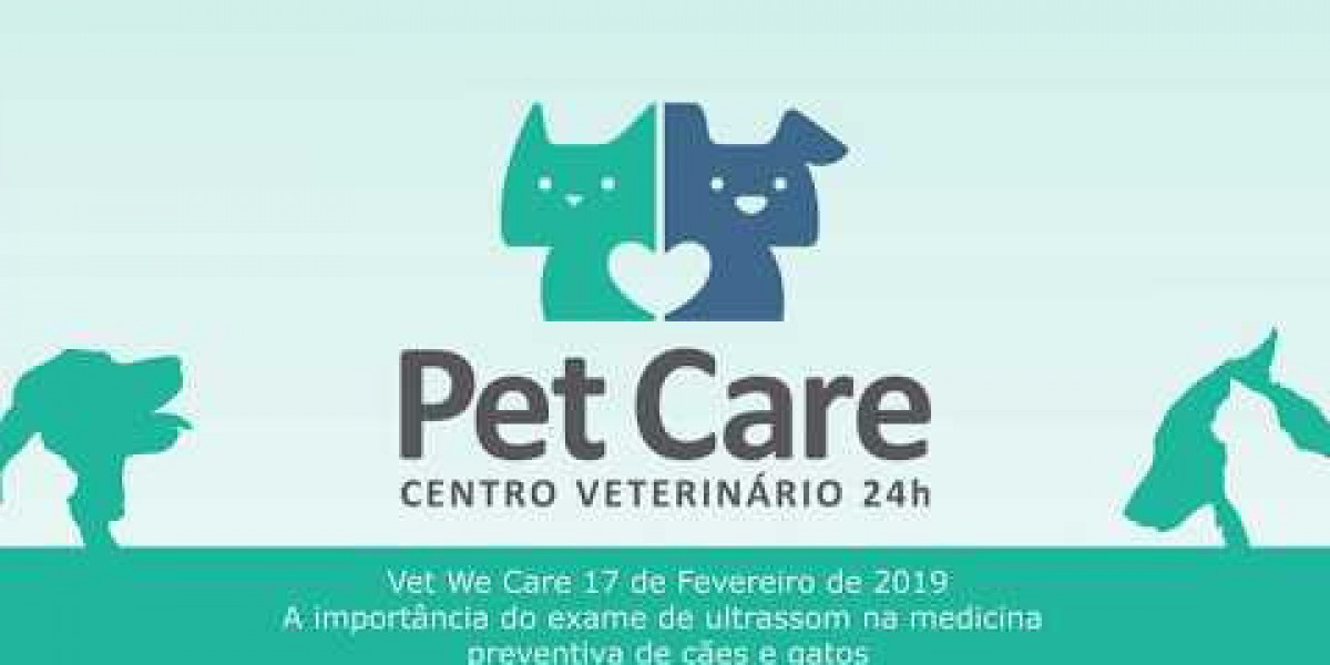 Rayos X digitales Equipo de rayos X portátil para veterinarios