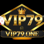 Vip79 Casino profile picture