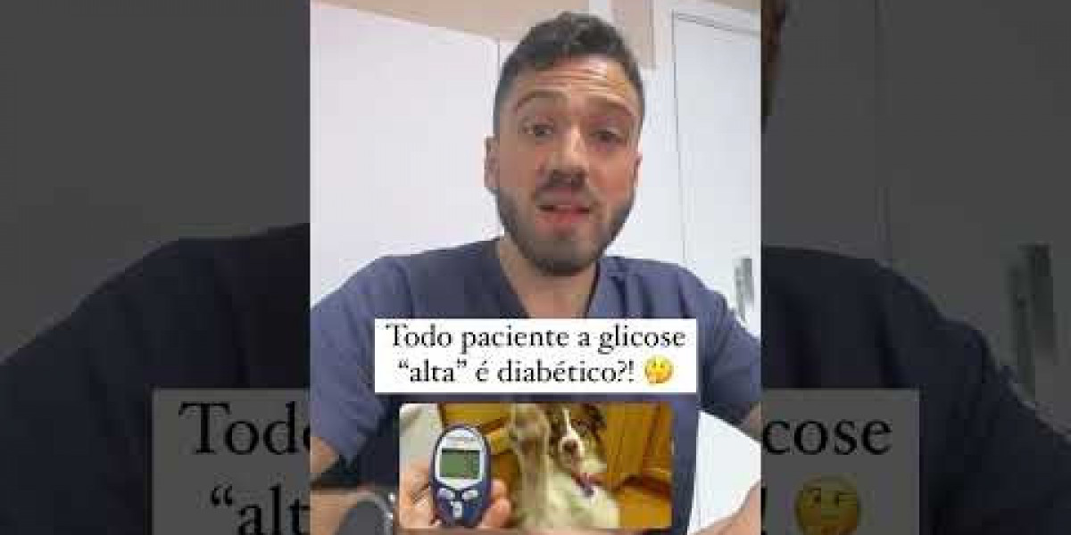 Radiografía para perro: Qué se ve, cuánto cuesta, dudas .. Mascota y Salud