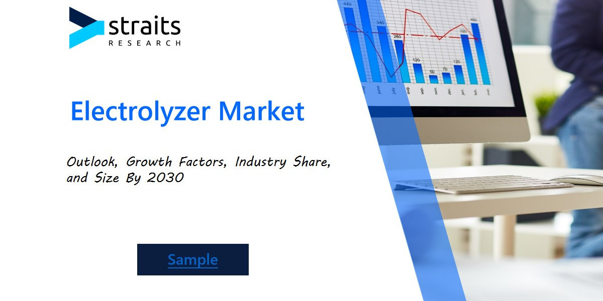 Electrolyzer Market Report: Examining the Impact of Government Initiatives and Funding for Hydrogen Infrastructure Devel