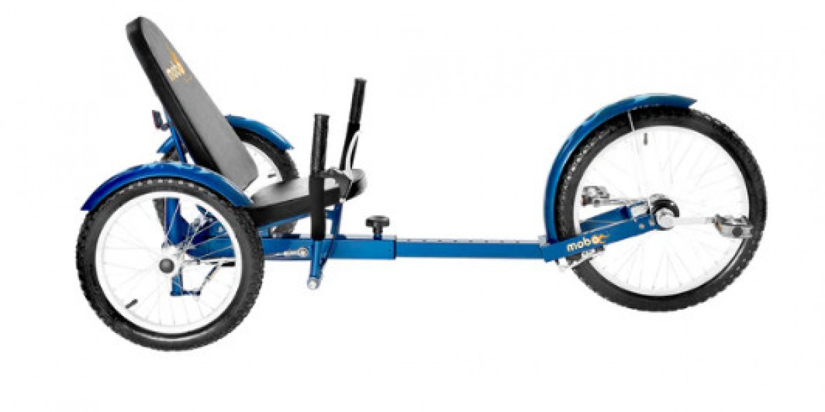 How Adult Tricycles Promote Fitness and Well-Being