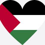 شات فلسطين Profile Picture