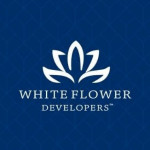 White Flower Developers Profile Picture