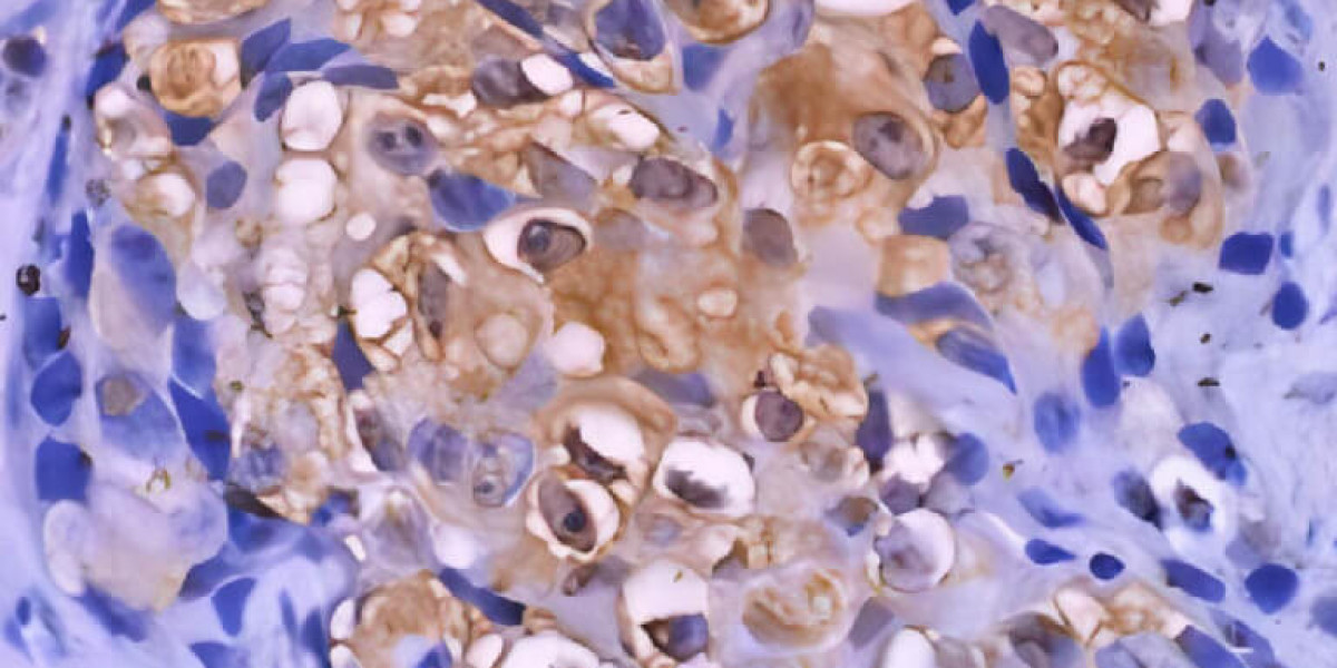 DS IHC Kits for Human and Rodent Tissues